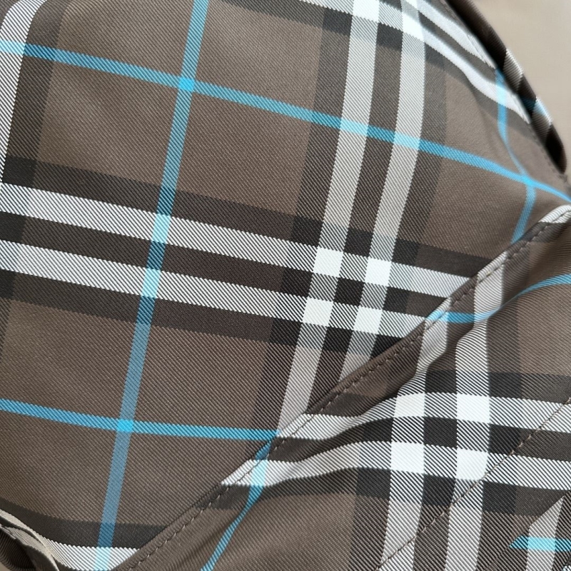Bv*b*rry backpacks